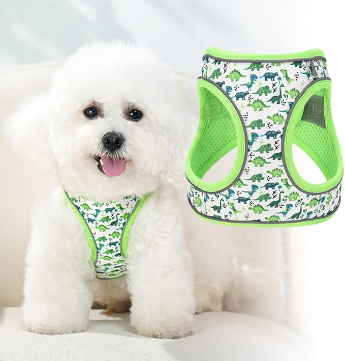 Step in Dog Harness and Leash Set, Flower Adjustable Easy Walk Puppy Harnesses, Soft Mesh Pet Vest Harness Small Size Dog Adjustable No Pull Dog Harness for Small Medium Dogs(Dinosaur1, S)