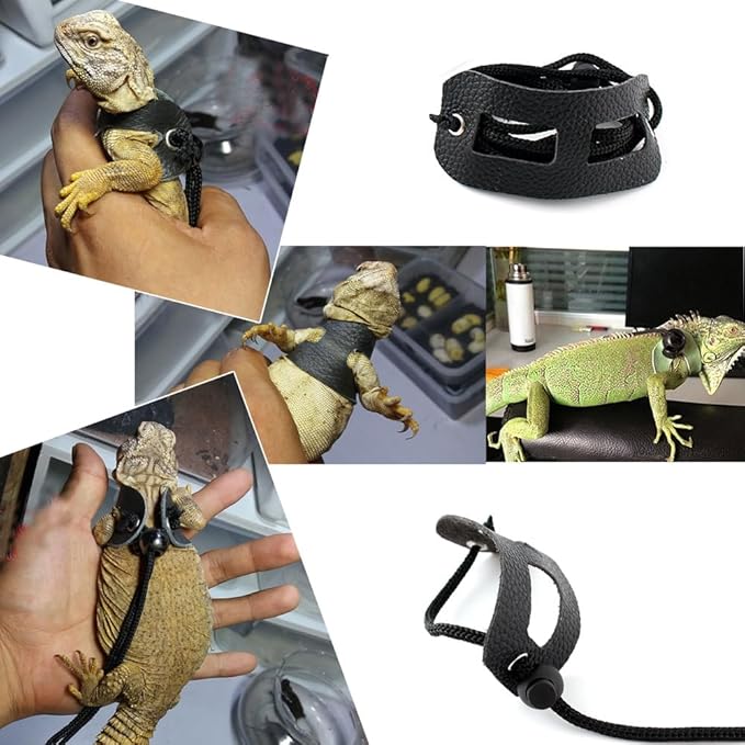 Bearded Dragon Leash and Harness Set,Lizard Leash Bearded Dragon，3 Size Pack Adjustable Small Animal Harness for Reptile and Small Pet(Old Black)