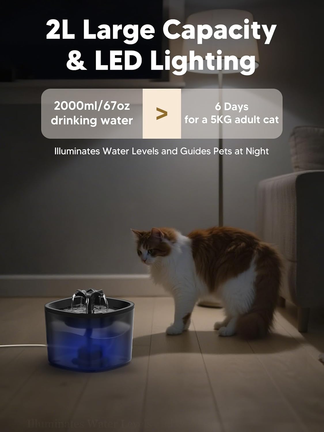 Automatic Cat Feeder and Water Fountain, 4L/16 Cups Timed Cat Dry Food Dispenser, 10s Meal Call, 20 Portions 6 Meals Per Day, 2L Cats Fountains for Drinking with Filter, Pet Feeder for Dog Black