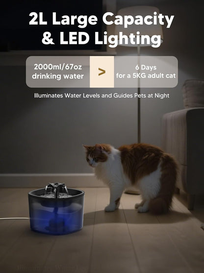 Automatic Cat Feeder and Water Fountain, 4L/16 Cups Timed Cat Dry Food Dispenser, 10s Meal Call, 20 Portions 6 Meals Per Day, 2L Cats Fountains for Drinking with Filter, Pet Feeder for Dog Black