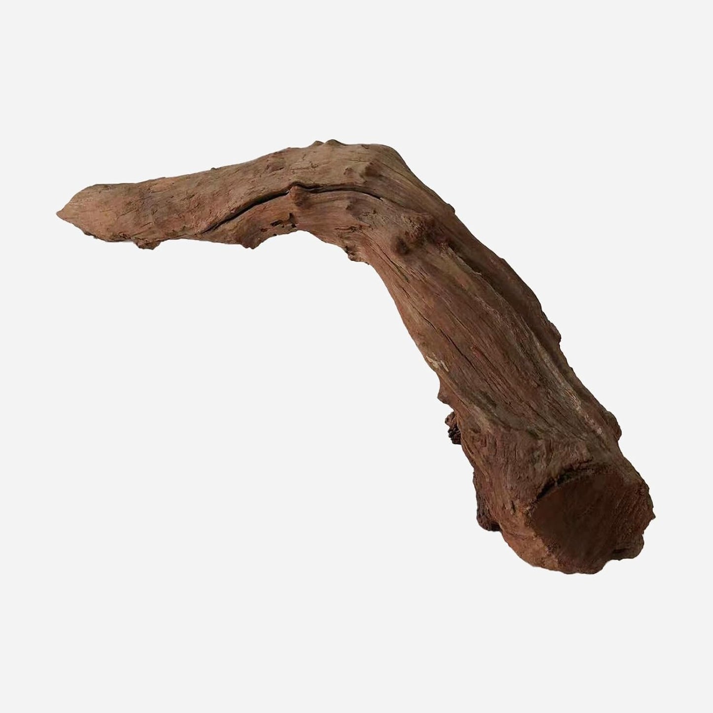 LYPHARD AQUARIUMS Natural Driftwood for Aquarium Decor, L24.8×W5.51×H7.87 Inches Large Drift Wood Decorations for Reptile Hide, Fish Tank, Optional Shapes