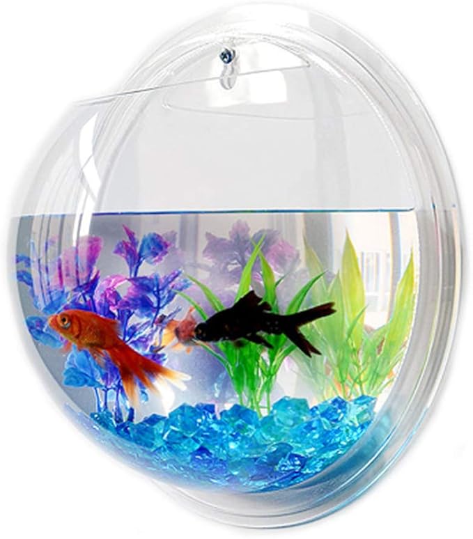Aquarium Supplies Wall Fish Tank Hanging Fish Tank Aquarium Tanks Fish