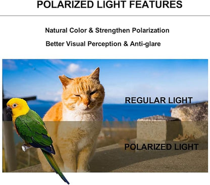 Bird Traval Carrier Cage, Polarized Tinted Blue Space Capsule Astronaut Backpack to Carry Parakeet Cockatiel Parrot with Metal Tray Wood Perch, Vet Transport Bag