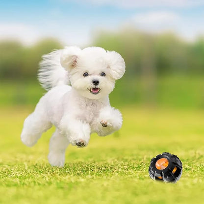 Yipetor Power Chewer Dog Toys - Long-Lasting, Easy to Clean, Treat Dispensing Puzzle Toys for Small Dogs (Summer Medium)