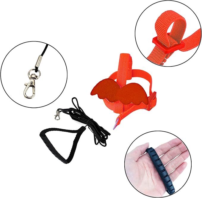 Dnoifne Pet Parrot Bird Harness and Leash, Adjustable Training Design Anti-Bite, Bird Nylon Rope with Cute Wing for Parrots, Suitable for Scarlet, Keck, Mini Macaw and Same Size Birds (red)