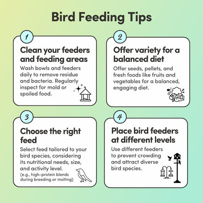 Mycelium Lovebird Feed (5 LB Bag) | Organic, Clean Seed Blend for Lovebirds & Small Parrots | Supports Skin & Feather Health | Non‑GMO, Shell-Free Nutrition | USA Made