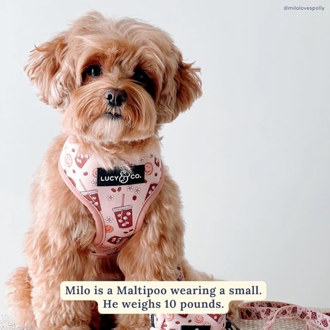 Lucy & Co. Cute Reversible Dog Harness Walking Halter - Best Designer Pet Harnesses for XS - XL Dogs - Padded Adjustable Vest for Easy Walking (Large, Merry & Bright)