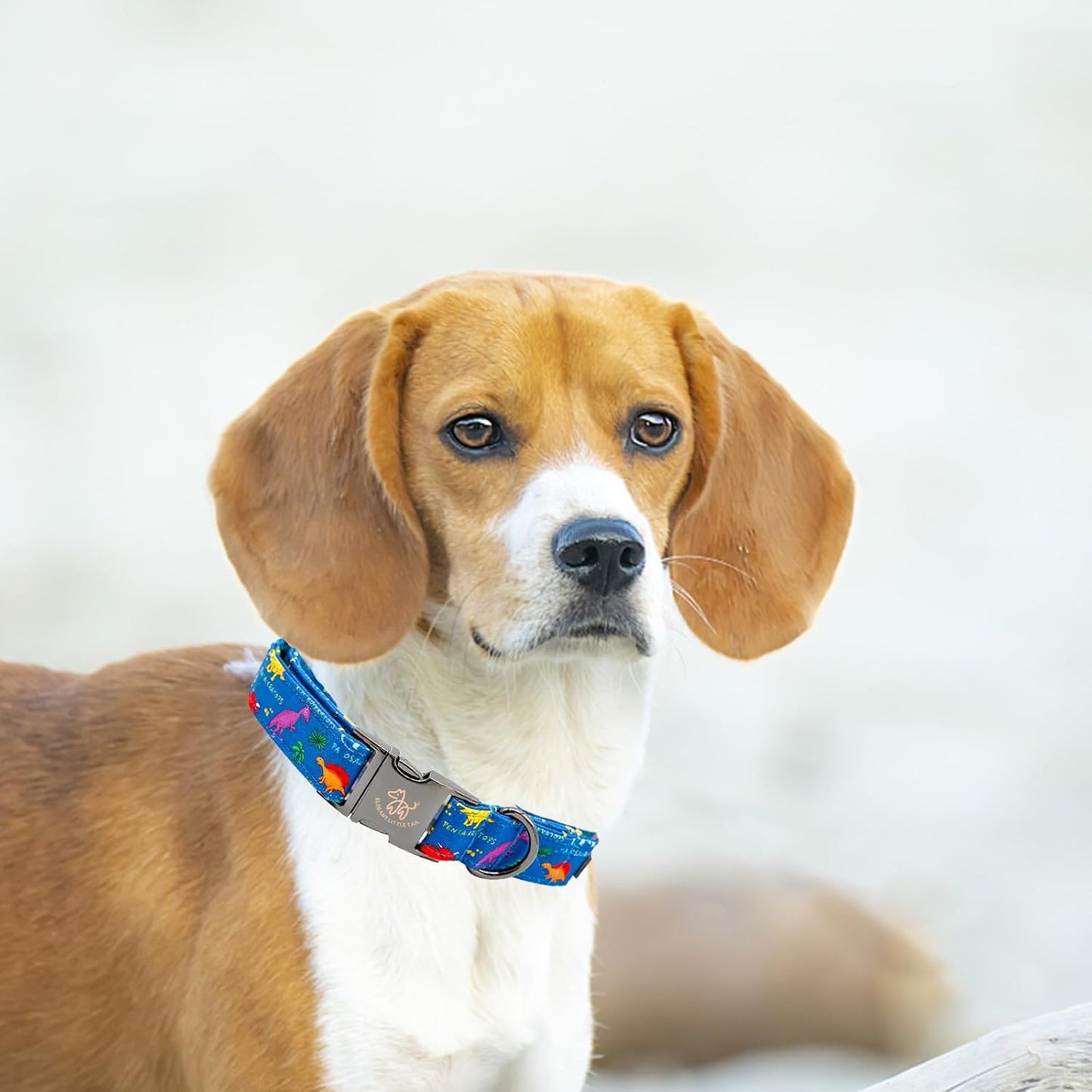 Elegant little tail Dog Collar, Blue Dinosaurs Pattern Pet Collar Durable Cute Dog Collars Male or Female Pet Gift Adjustable Dog Collar for X-Small Dogs