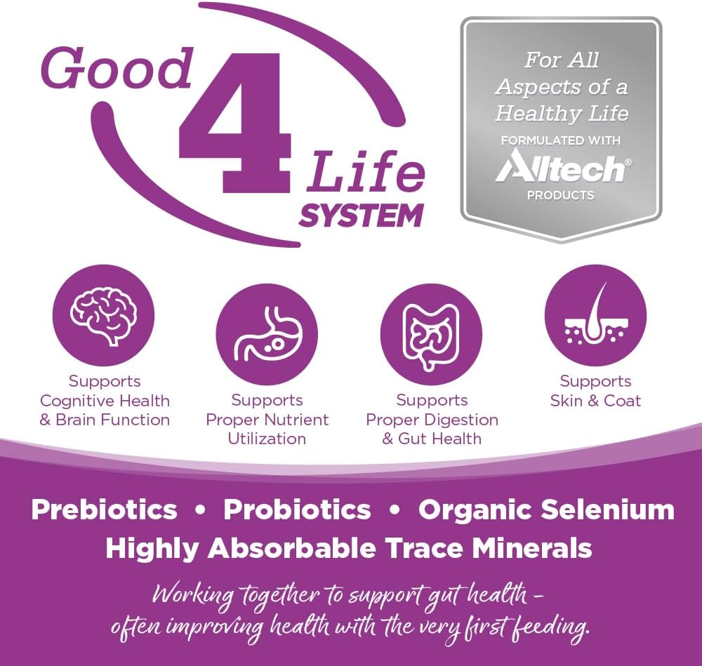 NutriSource Chicken & Rice Puppy Food, Premium Wet Dog Food, 12.3 Ounce (Pack of 12)