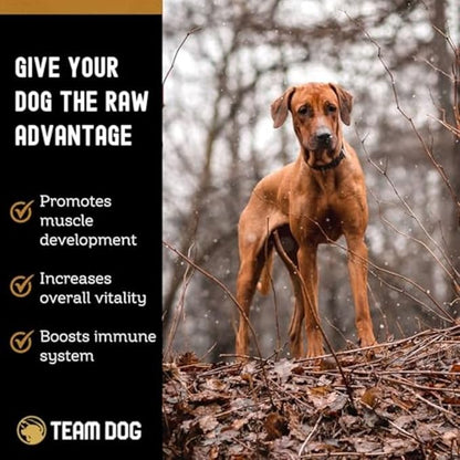 Team Dog Raw Frozen Dog Food | 65% Beef Muscle, Organ Meats, Herring & Green Tripe for Dogs | All Natural Grain Free Dog Food for Optimal Health, Digestion & Coat | 24 x 1lb Rolls
