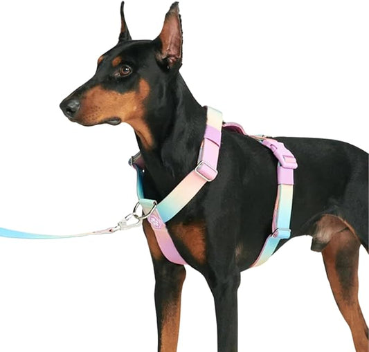 Spark Paws No Pull Dog Harness for Large Dogs, Heavy Duty Dog Harness for Big Strong Breeds, Adjustable, Y Shaped Padded Halter Design with Front Clip - Pastel Icing - S