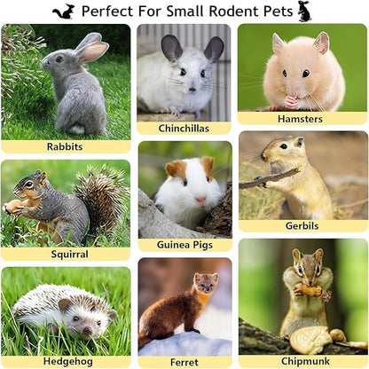 1000g Organic Apple Sticks Small Animals Molar Wood Treats Toys for Chinchillas Guinea Pig Rabbits Hamster Gerbil Parrot Bunny Chew Stick Toys, 35.3 OZ