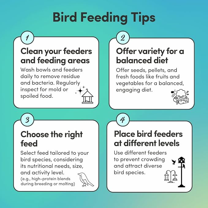 Mycelium Parakeet Plus Bird Seed (5 LB Bag) | Organic Bird Food Fortified with Vitamins for Immune & Digestive Support | Daily Nutrition for Parakeets & Budgies | Non-GMO, Clean Seed Blend | USA Made