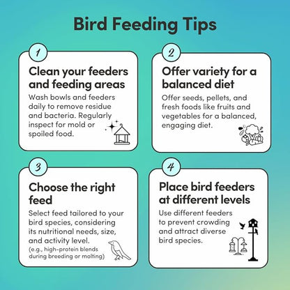 Mycelium Parakeet Plus Bird Seed (5 LB Bag) | Organic Bird Food Fortified with Vitamins for Immune & Digestive Support | Daily Nutrition for Parakeets & Budgies | Non-GMO, Clean Seed Blend | USA Made