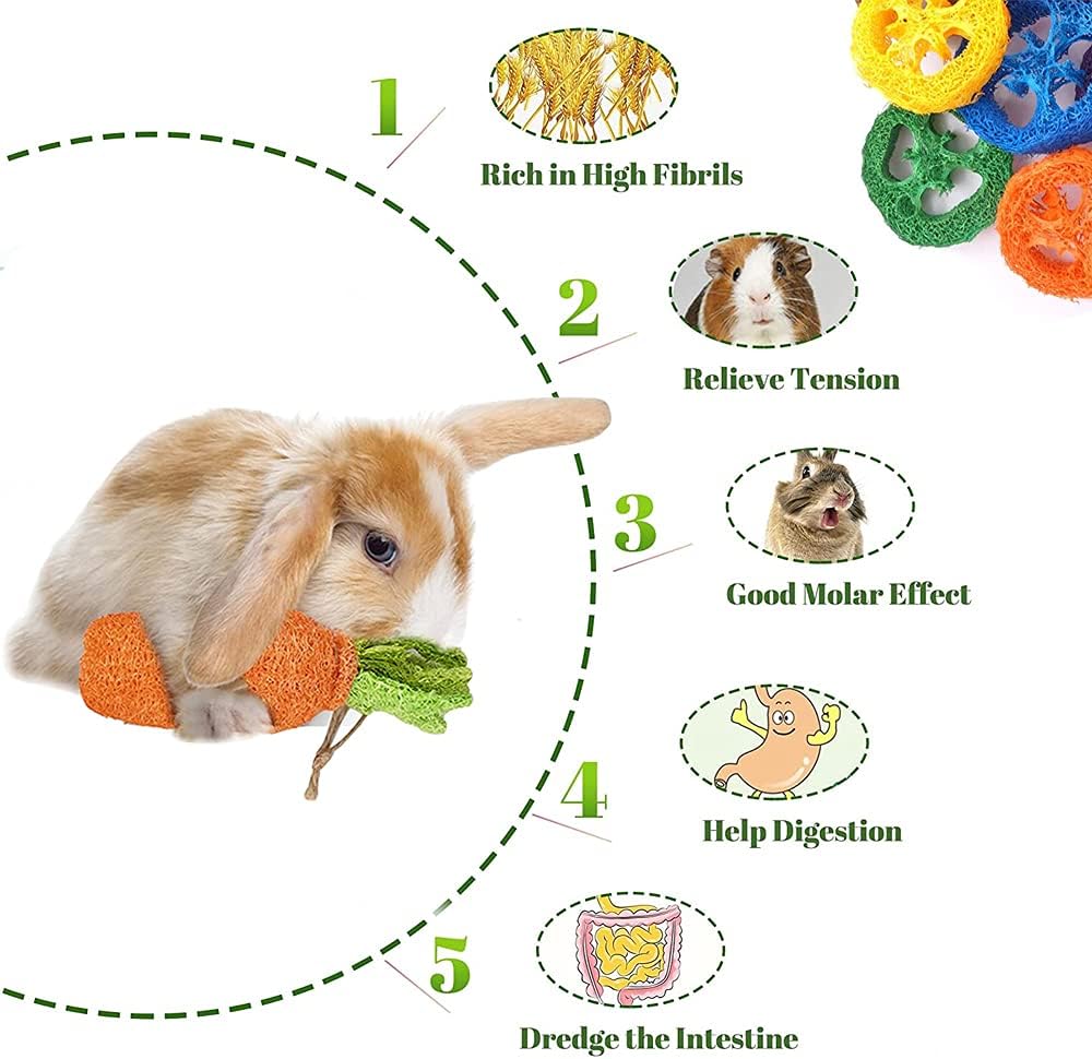 16 PCS Rabbit Toys, Hamster Toy for Molar, Loofah String Carrot Toys for Dental Health, Promote Digestion, for Best Hamster Toys Gifts