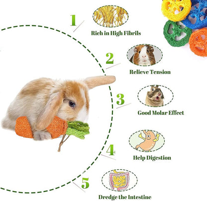 16 PCS Rabbit Toys, Hamster Toy for Molar, Loofah String Carrot Toys for Dental Health, Promote Digestion, for Best Hamster Toys Gifts