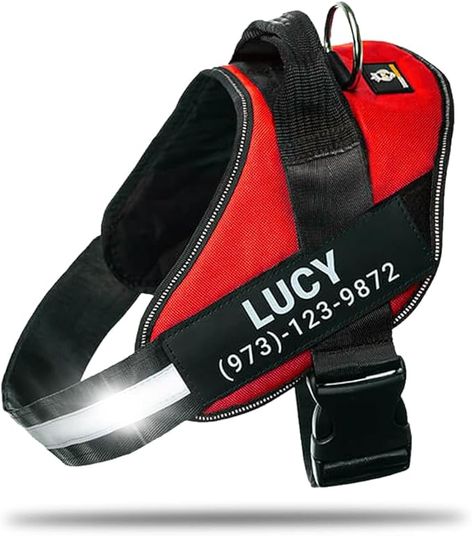 Personalized No-Pull Dog Harness with Name Patch, Adjustable, Reflective, Padded, Heavy Duty Pet Vest to Prevent Tugging, Pulling, or Choking, Training and Walking, Red, XS