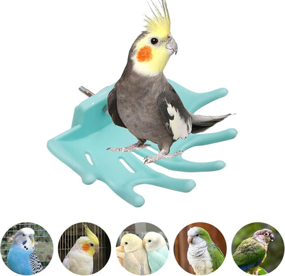 3 Pack Bird Cage Accessories, Multicolor Plastic Bird Perch with Branches, Bird Perches for Cage, Standing Platform for Budgies, Lovebirds, Cockatiels, Small to Medium Birds