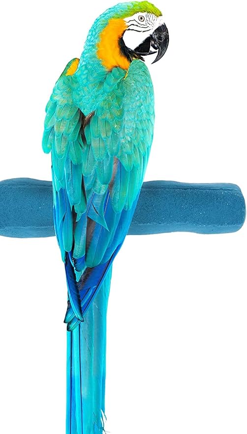 Sweet Feet and Beak Comfort Grip Safety Perch for Bird Cages - Pedicure Perch for Birds to Keep Nails and Beaks in Top Condition - Safe Easy to Install Bird Cage Accessories - XL 13.5"