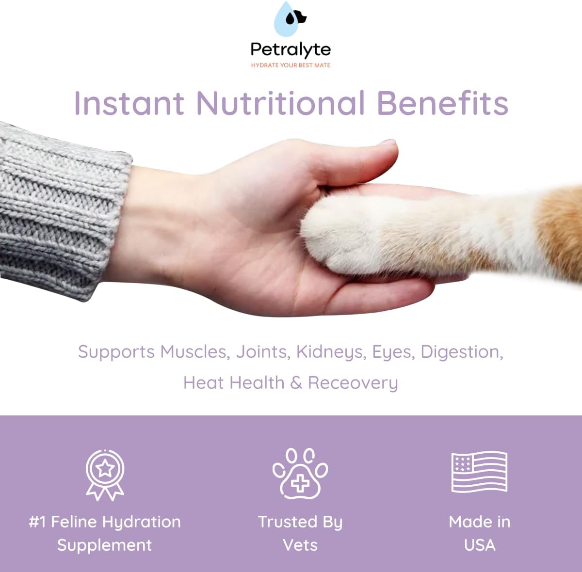 Petralyte Cat Hydration Electrolyte and Cat Joint Supplement | Hydration Support for Cats w/Glucosamine, Chondroitin, L-Glutamine, Taurine, Lysine & Prebiotics | for Salmon Lovers | 32 Packets