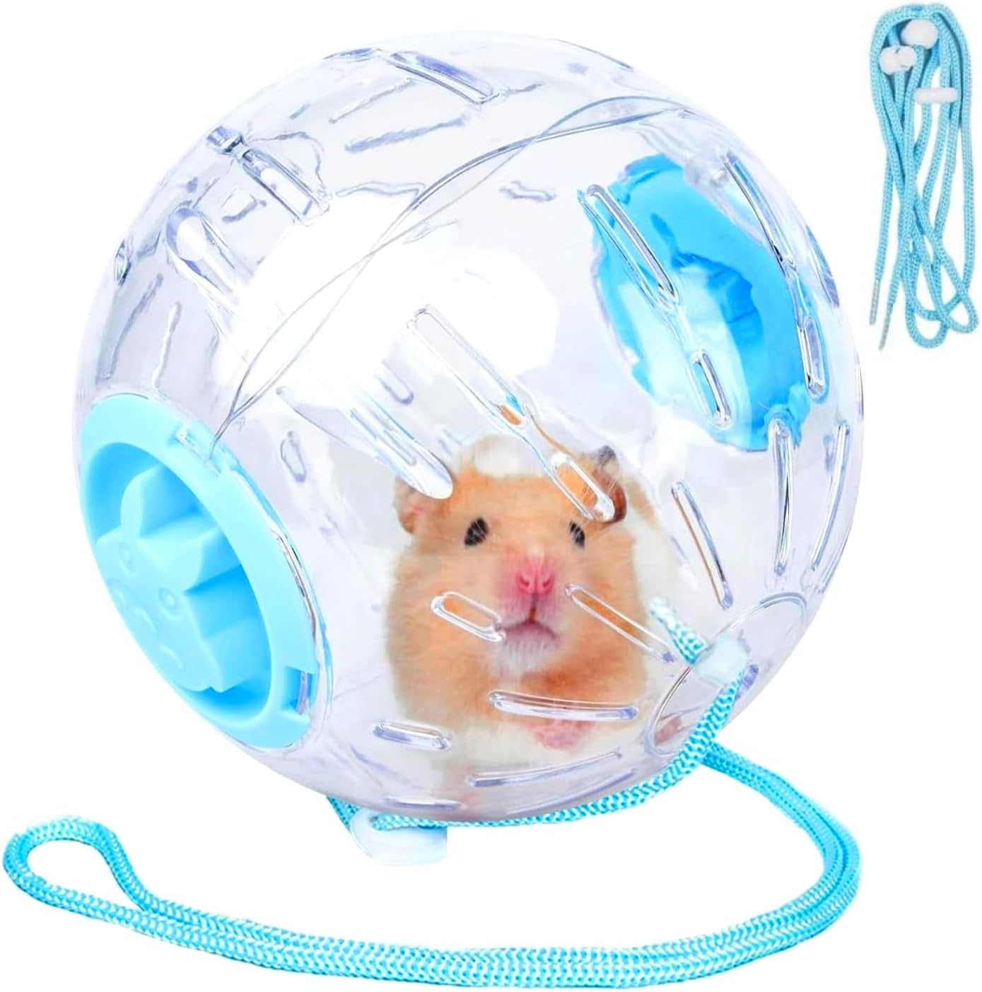 5.9" Hamster Wheel,Exercise Ball & Wheel - Silent Running Toy with Anti-Skid,Transparent Hamster Ball,Breathable Design & Rope for Easy Carry,for Little/Dwarf Mouse (Blue, 5.9)