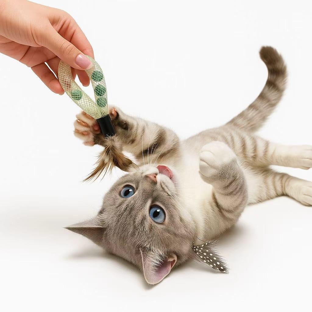 20PCS Interactive Cat Toys t for Indoor Cats, Feather Elastic Mesh, Catnip Ball, Colorful Spring, Rainbow Plush, Teething & Self-Play Kitten Accessories Variety Pack