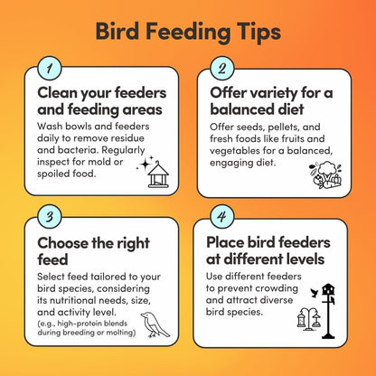 Mycelium Organic Cockatiel Protein Feed (5 LB Bag) | High-Protein, High-Fat Bird Seed for Energy, Growth, & Development | Seed & Superfood Blend for Cockatiels | Non-GMO, Made in USA