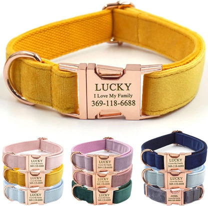 PETDURO Personalized Dog Collar Ginger Soft Velvet for Large Medium Small Boy Girl Dogs - Custom Collar with Name Phone Number Engraved on Rose Gold Metal Buckle - Add Leash Bow Set via Customize Now
