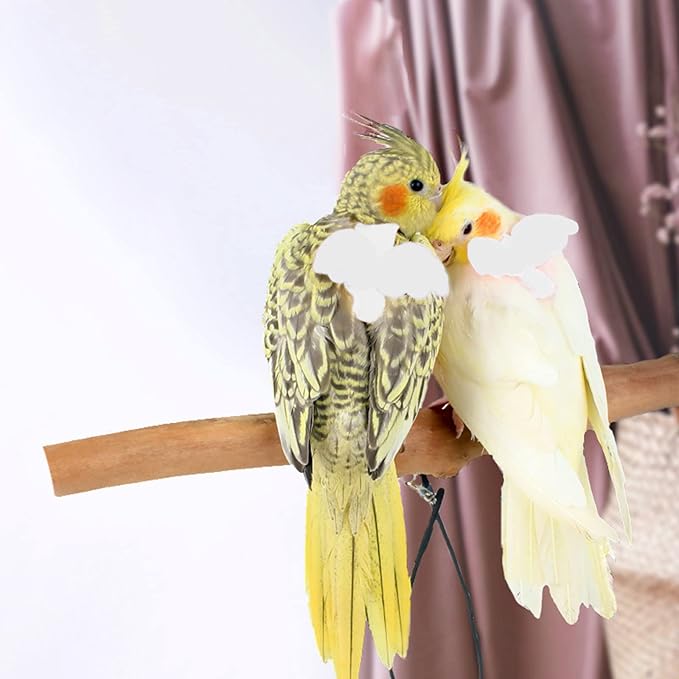 Pet Parrot Bird Harness and Leash, Adjustable Training Design Anti-Bite, Bird Nylon Rope with Cute Wing for Parrots, Suitable for Alexandrine, Scarlet, Keck, Mini Macaw Same Size Birds (White)
