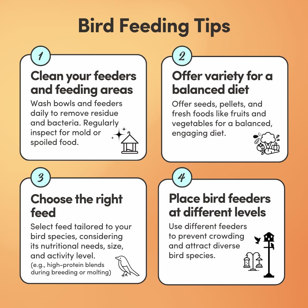 Mycelium Cockatiel Bird Food (5 LB Bag) | Organic Bird Seed for Cockatiels & Small Birds | Supports Feather Shine & Daily Energy | Premium Dust-Free Blend | Non-GMO & USA Made