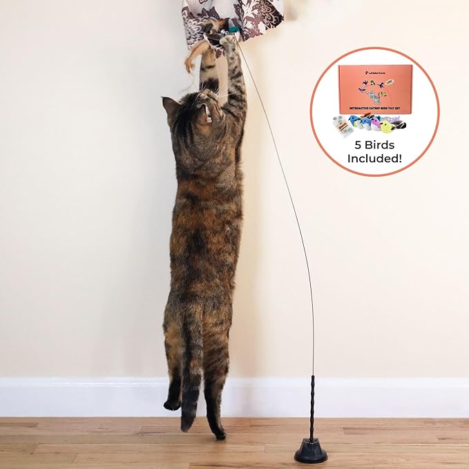 Whiskertons Interactive Bird Simulation Cat Toy Set, Interactive Cat Toys for Indoor Cats, Cat Feather Toy, Self-Holding Suction Cup, 5 Catnip Birds, Feathers, Bells (Catnip Bird Toy Set with 5 Birds)