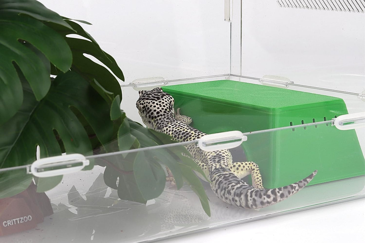 Snake Hide, Leopard Gecko Tank Accessories for Reptile Ball Python Crested Gecko Lizard Bearded Dragon - GreenHideM