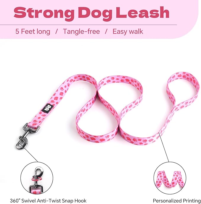 QQPETS Dog Harness Leash Set Adjustable Heavy Duty No Pull Halter Harnesses for Small Medium Large Breed Dogs Back Clip Anti-Twist Perfect for Walking