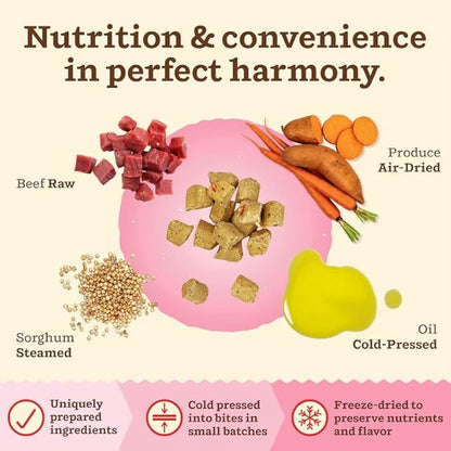 Primal Kibble in The Raw, Freeze Dried Cat Food, Beef, Scoop & Serve, Made with Raw Protein, Whole Ingredient Nutrition, Crafted in The USA, Dry Cat Food, 64 Ounce (4 lb) Bag