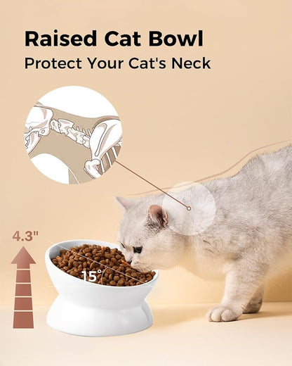 LoeJan Elevated Cat Food Bowl, 5 Oz Ceramic Raised and Tilted Water Bowl, Anti Vomiting and Protect Pets' Spines Dishes for Small Dog, Fat Faced Cat, Kitten (White, 10 OZ)