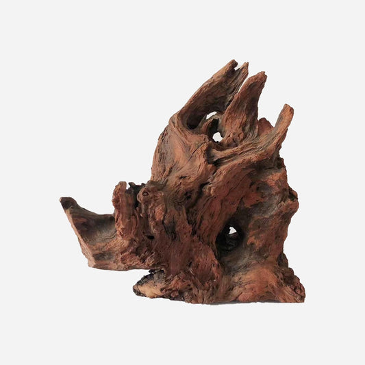 LYPHARD AQUARIUMS Natural Driftwood for Aquarium Decor, L12.6×W9.84×H13.39 Inches Large Drift Wood Decorations for Reptile Hide, Fish Tank, Optional Shapes