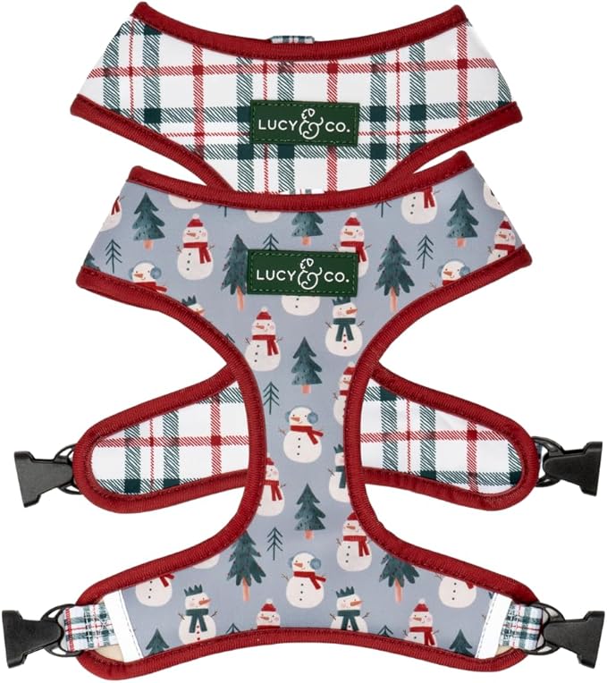 Lucy & Co. Cute Reversible Dog Harness Walking Halter - Best Designer Pet Harnesses for XS - XL Dogs - Padded Adjustable Vest for Easy Walking-Large-Gray & White Snowman