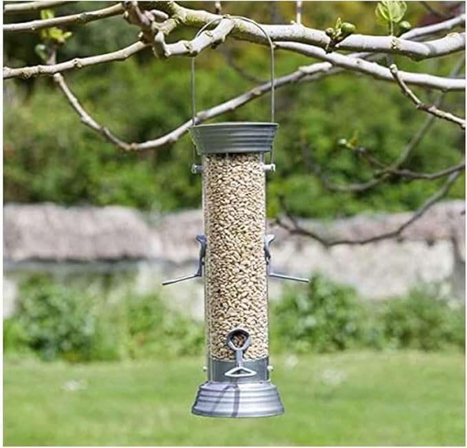 Desert Valley Sunflower Hearts and Chips Seed, All Natural, Non-GMO Premium Wild Bird and Wildlife Food (5 Pounds)