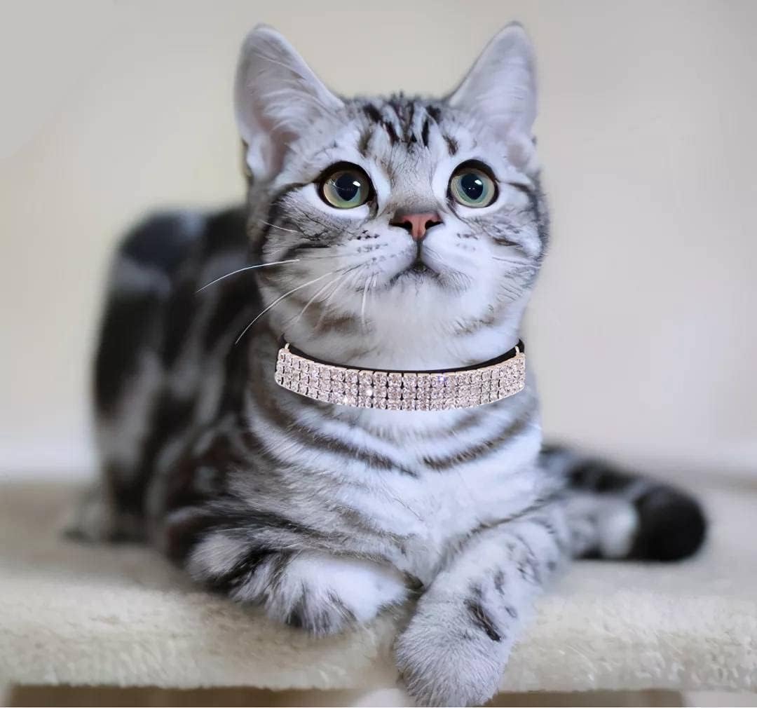 THAIN Rhinestones Cat Dog Collar Soft Velvet Safe Adjustable Collar Bling Diamante with Bells, 8-11 inch for Small Dogs and Cats (Black)