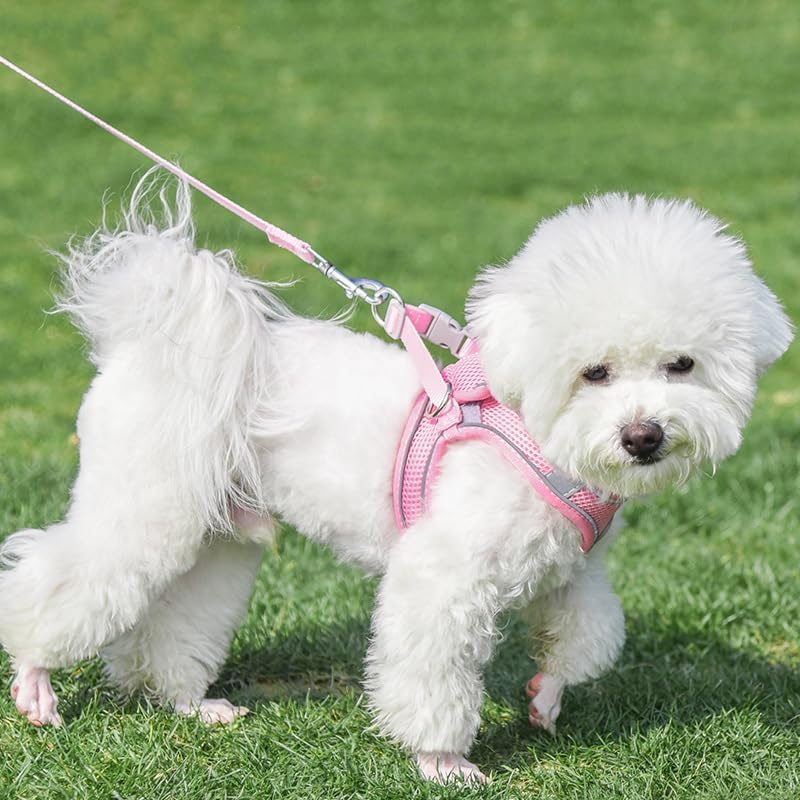 AIITLE Small Harness for Puppy with A Leash - Summer Dog Vest Harness with Super Breathable Mesh, Reflective No-Pull Pet Harness for Outdoor Walking, Camping for Small Dogs, Cats Pure Pink XXS