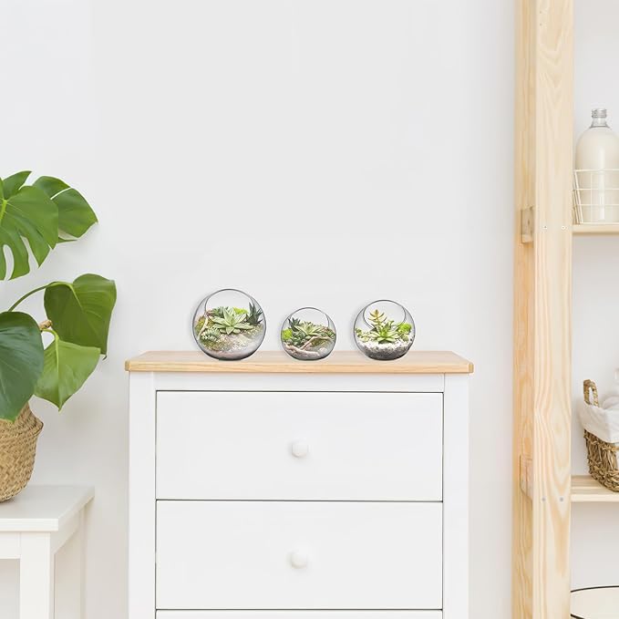 3PCS Glass Terrariums for Plants Glass Fish Bowls Plant Terrarium Air Plant Planter Desktop Bubble Bowls Clear Vases Air Plants Holders Succulent Terrarium
