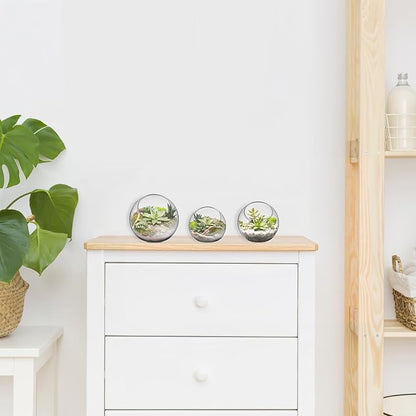 3PCS Glass Terrariums for Plants Glass Fish Bowls Plant Terrarium Air Plant Planter Desktop Bubble Bowls Clear Vases Air Plants Holders Succulent Terrarium