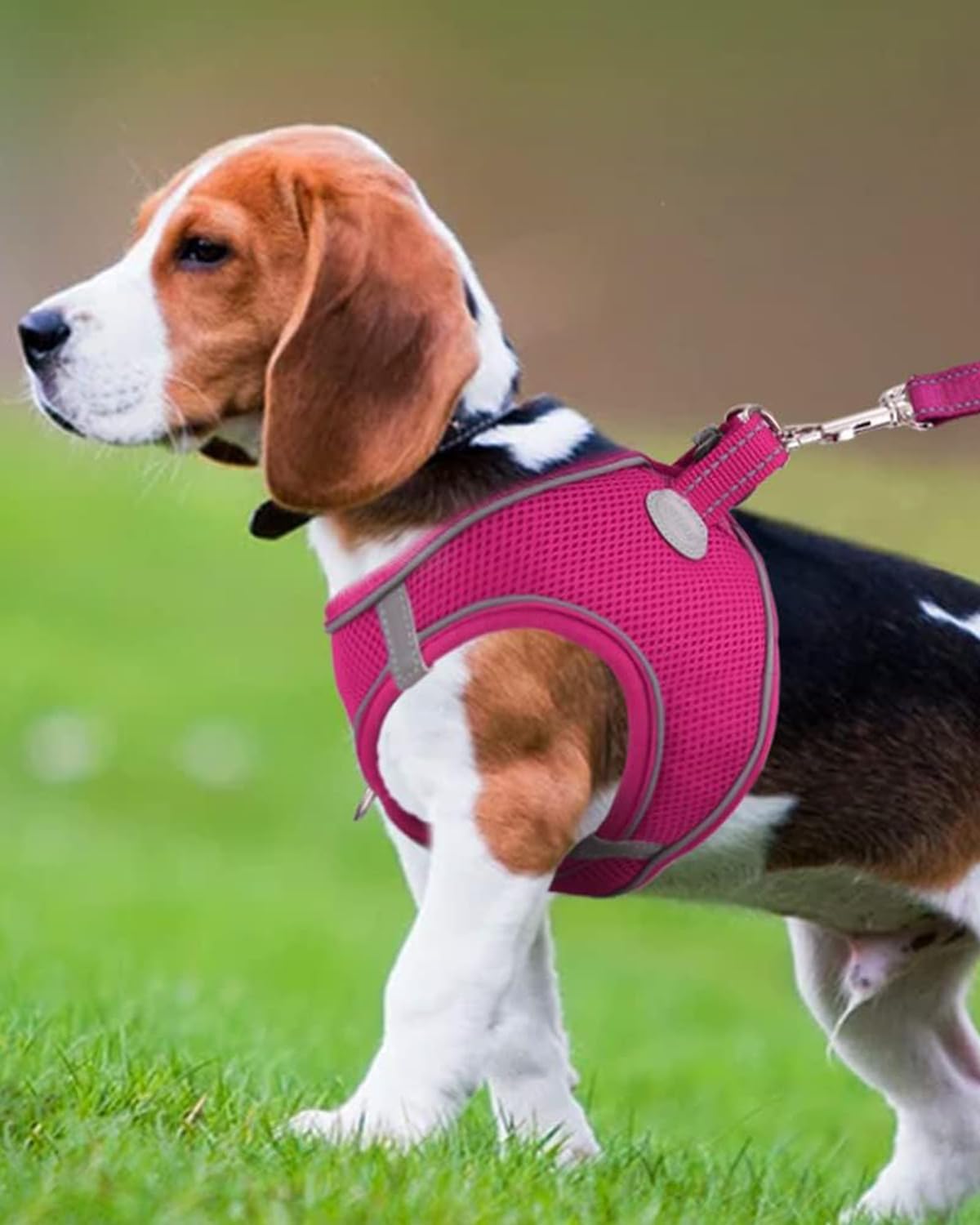 Joytale Small Dog Harness, Breathable Mesh Step-in Vest, Reflective Soft Padded Harnesses for Medium Dogs, Hot Pink, XL