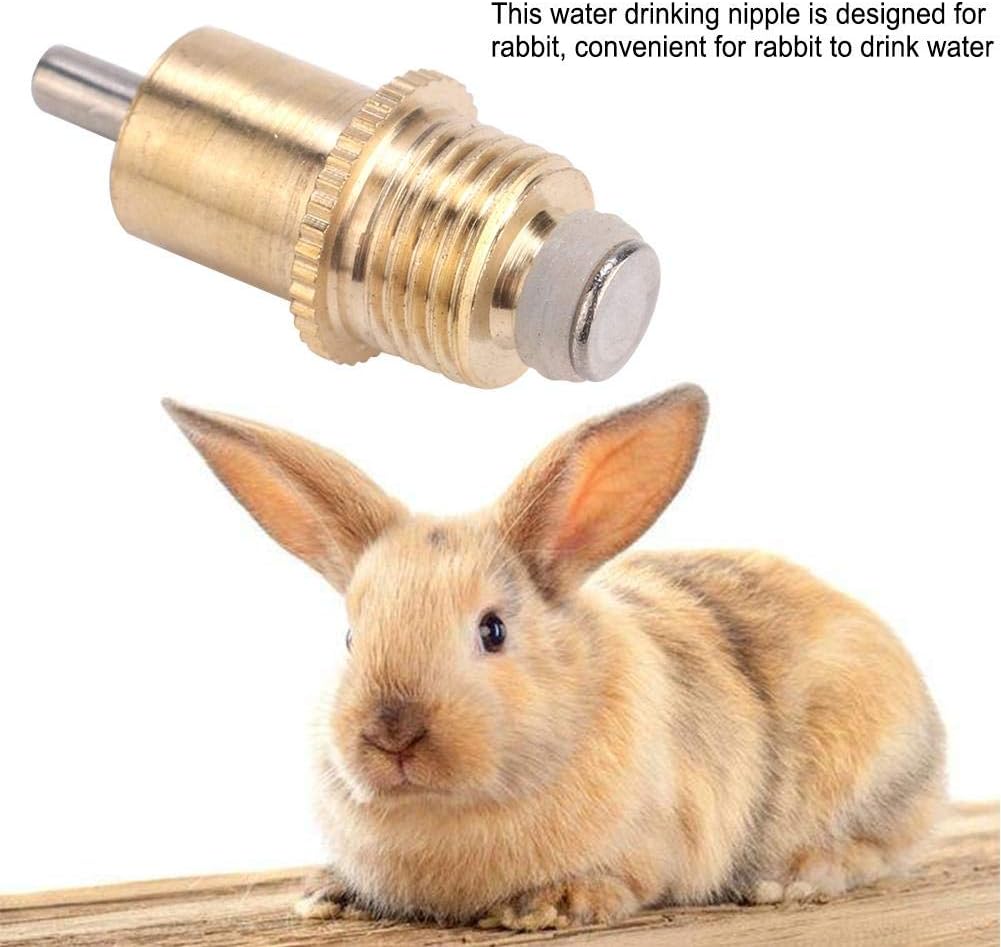 20pcs Stainless Steel Automatic Water, Long Automatic Rabbit Nipple Drinker Stainless Steel Feeder Bunny Rodent Water Poultry Watering System for Rodents Rat Rabbit Bird Farm Animal Supplies