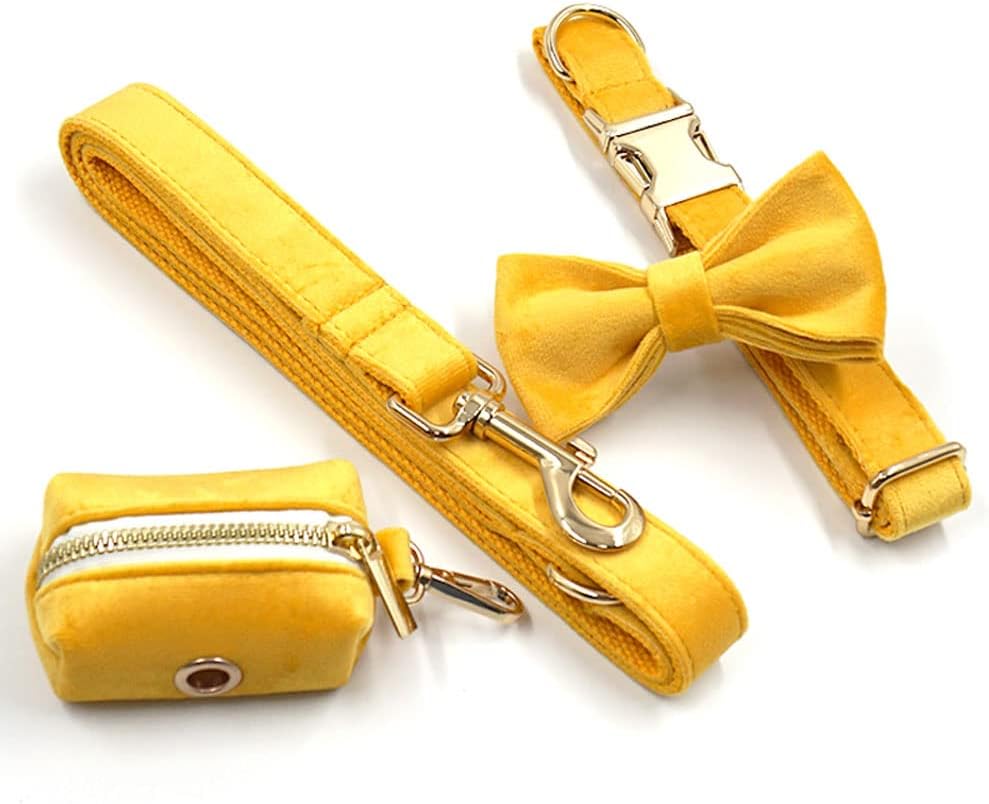 PETDURO Personalized Dog Collar Ginger Soft Velvet for Large Medium Small Boy Girl Dogs - Custom Collar with Name Phone Number Engraved on Gold Metal Buckle - Add Leash Bow Set via Customize Now