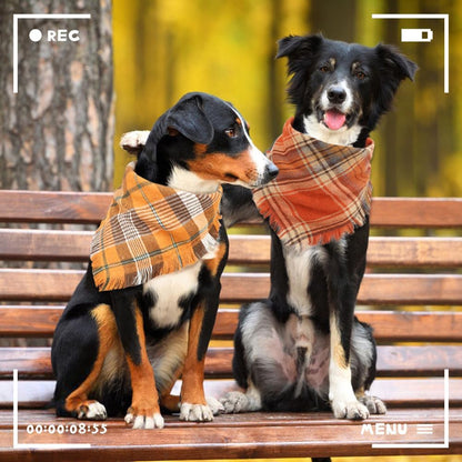 Vivifying Halloween Dog Bandanas, 2 Pack Thanksgiving Fall Classic Plaid Dog Scarf with Tassels Edges, Funny Pet Apparel & Accessories Costume for Photo Prop, and Party Decor (X-Large, Yellow&Orange)