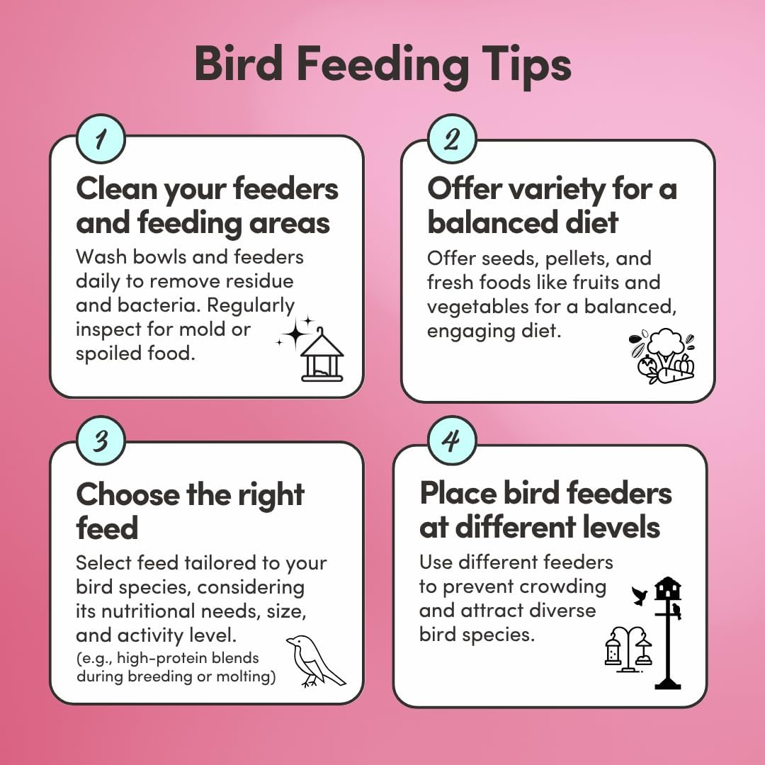 Mycelium Organic Pet Bird Premier Bird Seed (5 LBS) | Premium Food for Parrots, Cockatoos, & Large Birds | High-Protein, Vitamin-Fortified, Growth & Development Support | USA Made, Non-GMO