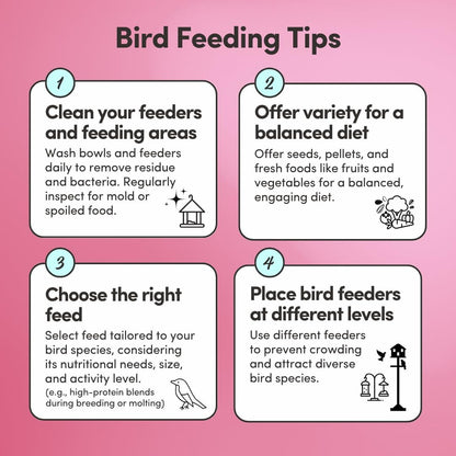 Mycelium Organic Pet Bird Premier Bird Seed (5 LBS) | Premium Food for Parrots, Cockatoos, & Large Birds | High-Protein, Vitamin-Fortified, Growth & Development Support | USA Made, Non-GMO