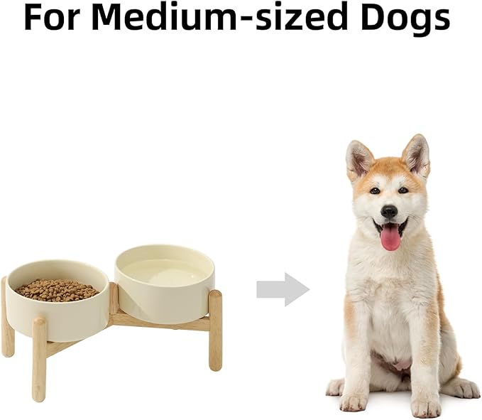 Ceramic 6.1inch Raised Dog Bowl with Stand for Small and Medium Breed Dog Dish Pet Food and Water Bowl (Double Bowl with Stand - Beige, 28oz)