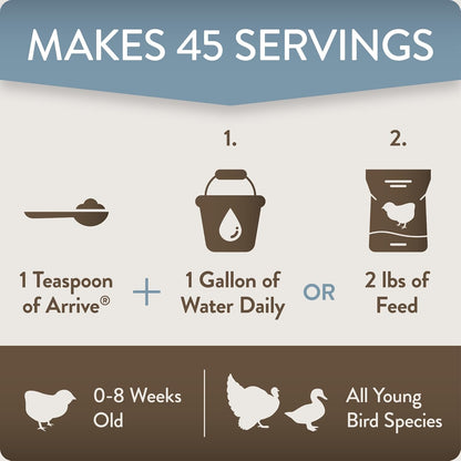 Arrive, Daily Probiotic & Prebiotic Water Supplement for Young Chickens 0-8 Weeks Old, 8 oz (Pack of 2)